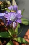 Dcim5464/DSC_0581