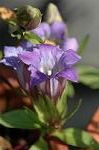 Dcim5464/DSC_0582