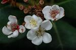 Dcim5464/DSC_0626