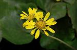 Dcim5464/DSC_0681