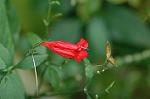 Dcim5466/DSC_0912
