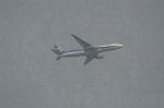 Dcim5469/DSC_5603