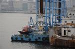 Dcim5471/DSC_5870