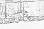 Dcim5473/CSC_0039