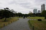 Dcim5474/DSC_5955