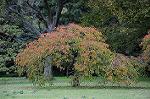 Dcim5474/DSC_5956