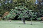 Dcim5474/DSC_5957