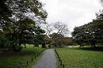 Dcim5474/DSC_5966