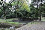 Dcim5474/DSC_6004