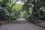 Dcim5474/DSC_6030