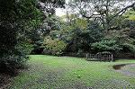 Dcim5475/DSC_6067