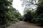 Dcim5475/DSC_6073