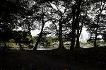 Dcim5475/DSC_6079
