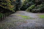 Dcim5475/DSC_6120