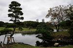 Dcim5476/DSC_6175
