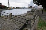Dcim5476/DSC_6202