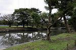 Dcim5477/DSC_6274