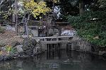 Dcim5477/DSC_6359