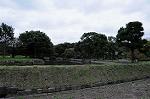 Dcim5477/DSC_6382