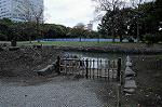 Dcim5477/DSC_6384