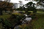 Dcim5478/DSC_0941