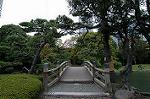 Dcim5478/DSC_1002