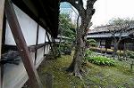 Dcim5478/DSC_1008
