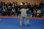 Dcim5481/DSC_6738
