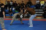 Dcim5481/DSC_6751
