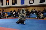 Dcim5482/DSC_6775