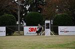 Dcim5484/DSC_7118