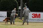 Dcim5485/DSC_7196