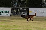Dcim5485/DSC_7205
