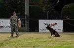 Dcim5485/DSC_7209