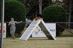 Dcim5488/DSC_7614