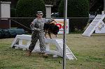 Dcim5488/DSC_7620