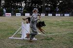 Dcim5488/DSC_7622