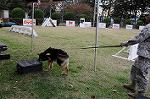 Dcim5488/DSC_7630
