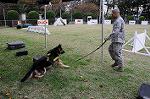 Dcim5488/DSC_7636
