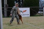 Dcim5489/DSC_7670