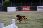 Dcim5489/DSC_7696