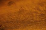 Dcim5490/DSC_7826