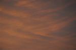 Dcim5490/DSC_7828