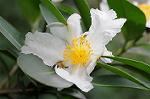 Dcim5491/DSC_7922