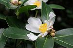 Dcim5491/DSC_7926