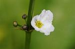 Dcim5491/DSC_7929