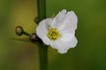 Dcim5491/DSC_7930