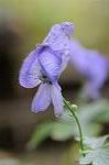 Dcim5491/DSC_7942
