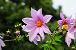 Dcim5491/DSC_8020