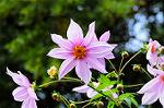 Dcim5491/DSC_8031